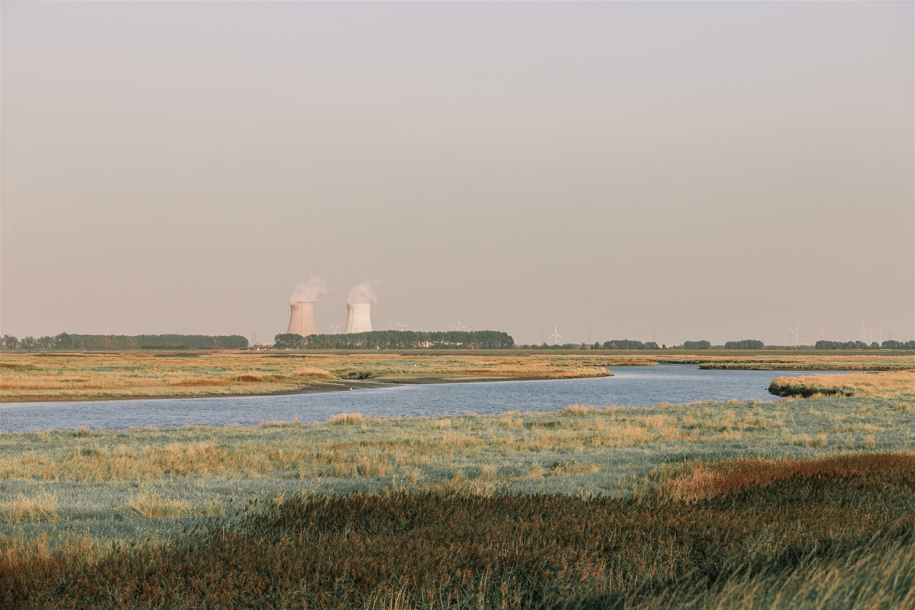 3 natuurgebied met de kerncentrale in de achtergrond