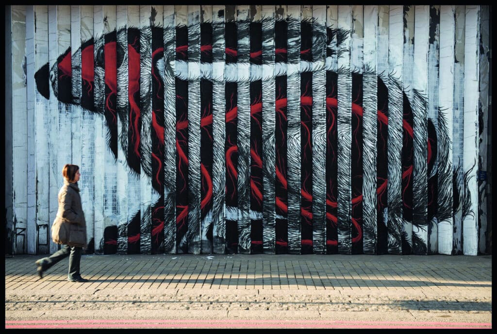 les plats pays Une planète à la dérive? ROA à Paris - les plats pays