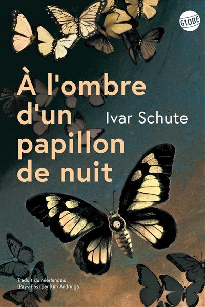 A l ombre d un papillon de nuit couverture