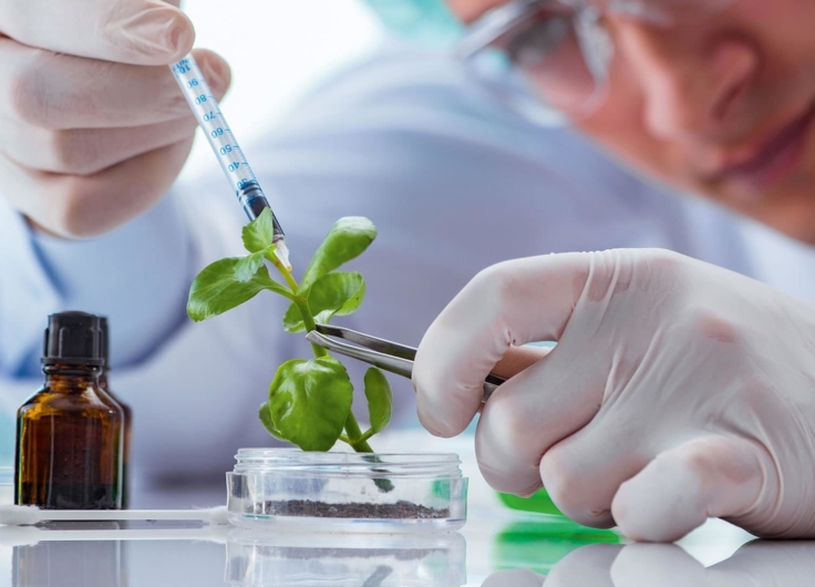 Research En Development-Bio Technologie-001