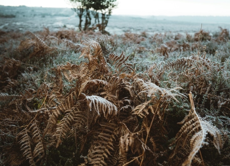 Annie spratt unsplash