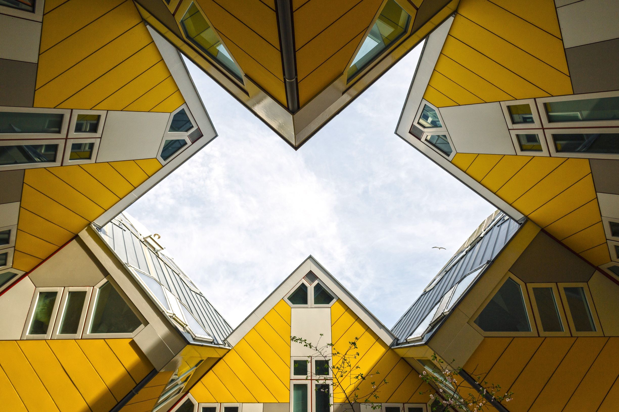 Architecture buildings contemporary 12095211