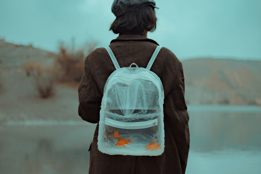 Poisson d’avril: Comment le dit-on en néerlandais?